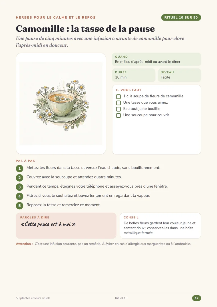 Page du rituel 10, Camomille : la tasse de la pause, du Grimoire des herbes