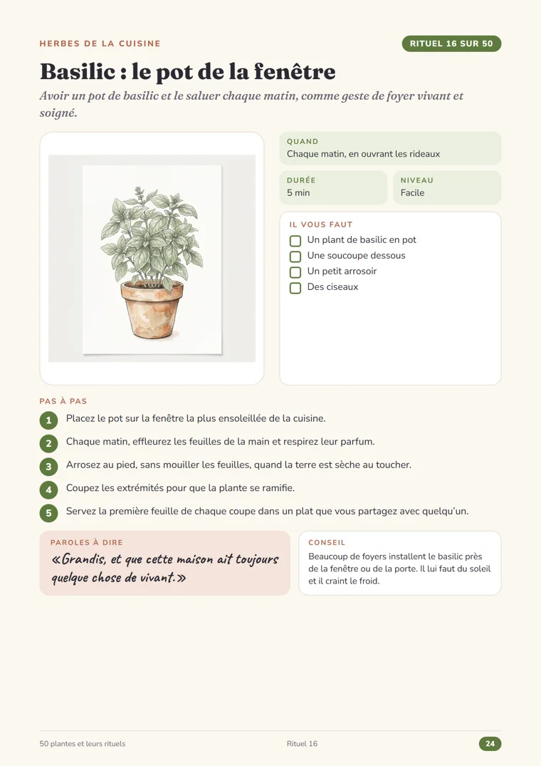 Page du rituel 16, Basilic : le pot de la fenêtre, du Grimoire des herbes