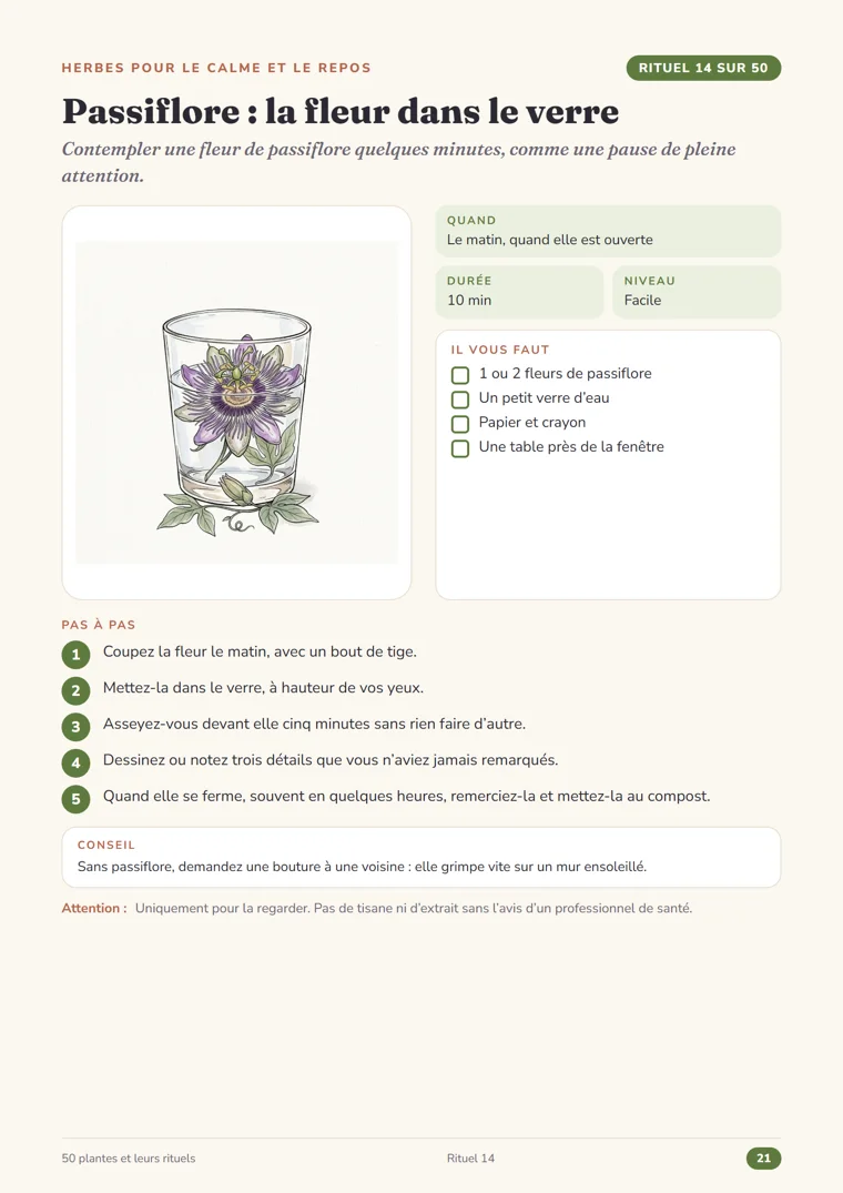 Page du rituel 14, Passiflore : la fleur dans le verre, du Grimoire des herbes