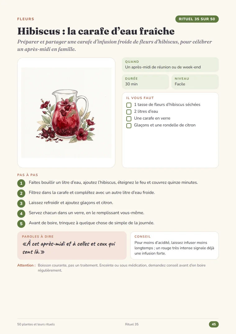 Page du rituel 35, Hibiscus : la carafe d’eau fraîche, du Grimoire des herbes