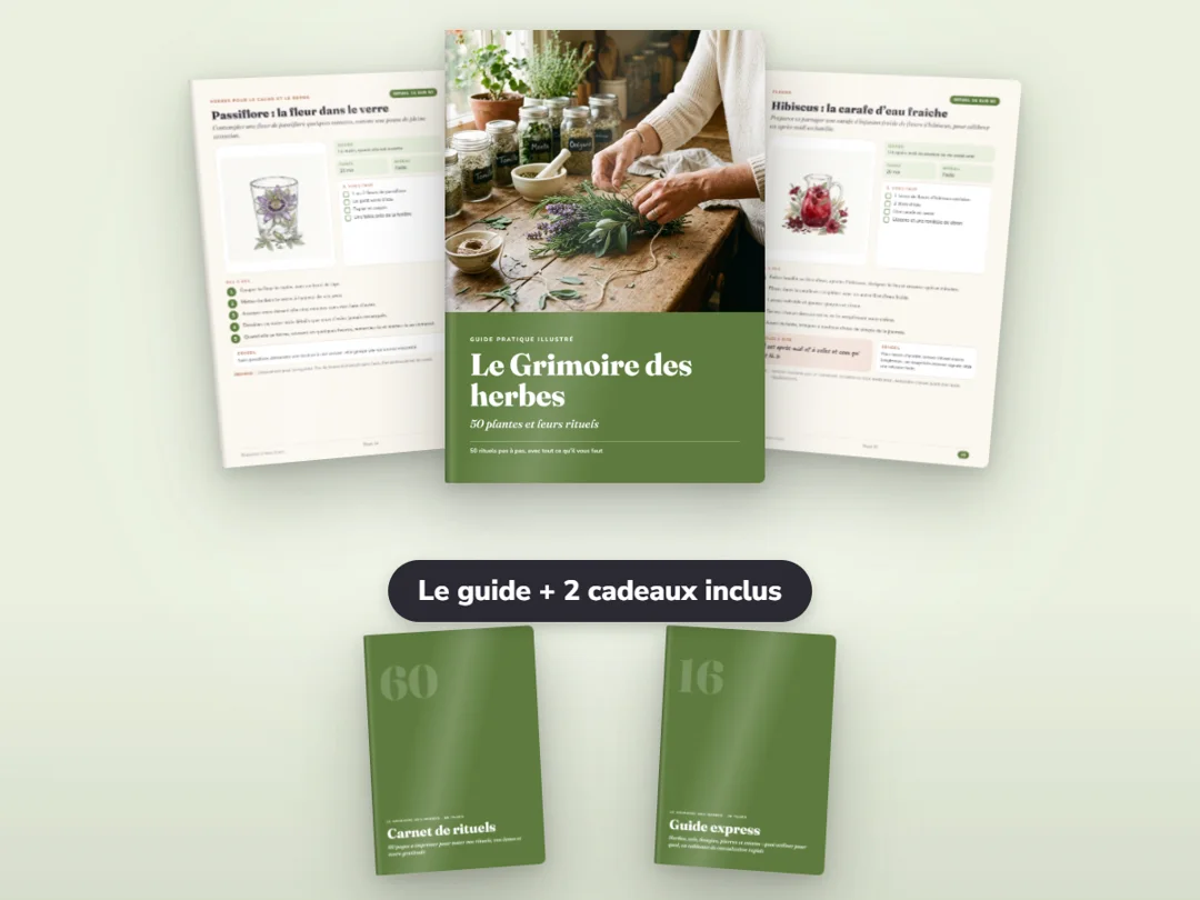 Le Grimoire des herbes : le guide de 50 herbes et les 2 cadeaux